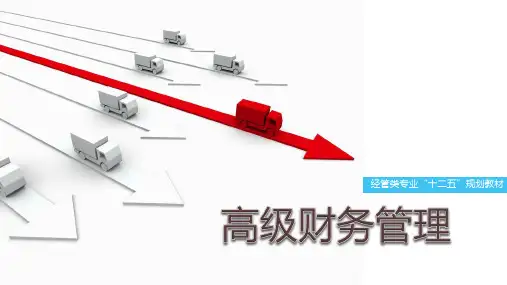 《高级财务管理》第一章
