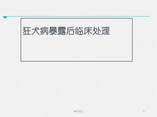 狂犬病暴露后处理  ppt课件