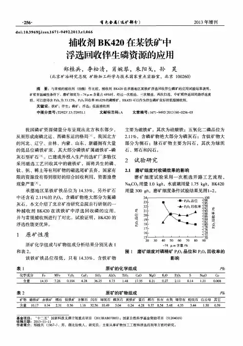 捕收剂BK420在某铁矿中浮选回收伴生磷资源的应用