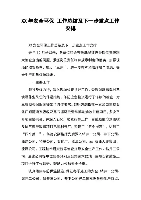 年安全环保工作总结及下一步重点工作安排