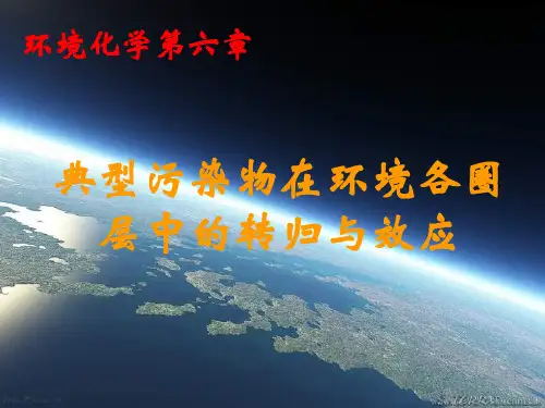 环境化学第6章典型污染物在环境各圈层中的转归与效应