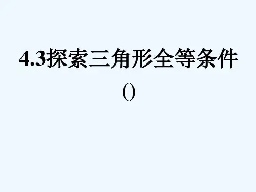 数学北师大版七年级下册探索三角形全等的条件 复习课