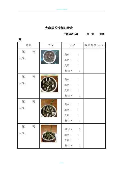 大蒜成长过程记录表