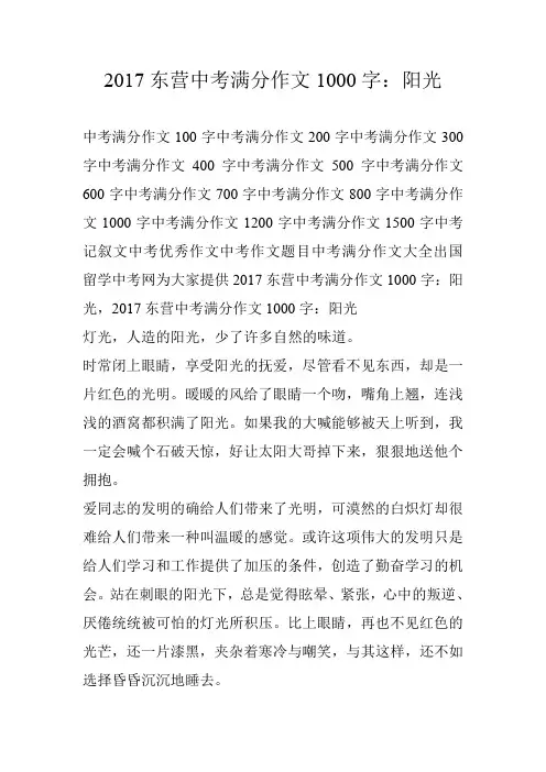 2017东营中考满分作文1000字：阳光
