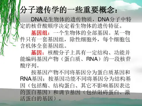 遗传信息的传递与表达