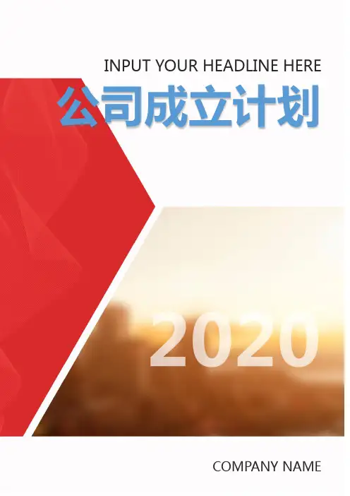 公司成立计划书