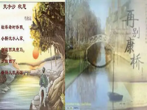 八年级语文上册第三单元12《桥之美》教学课件(新版)新人教版
