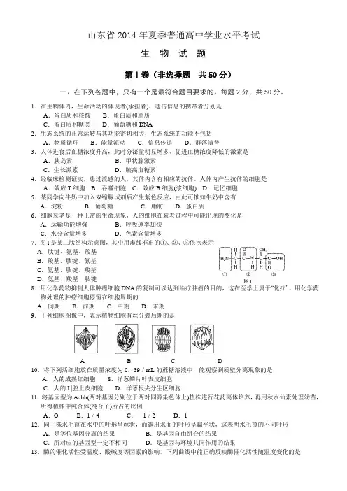 山东省2014年夏季普通高中学业水平考试生物试题