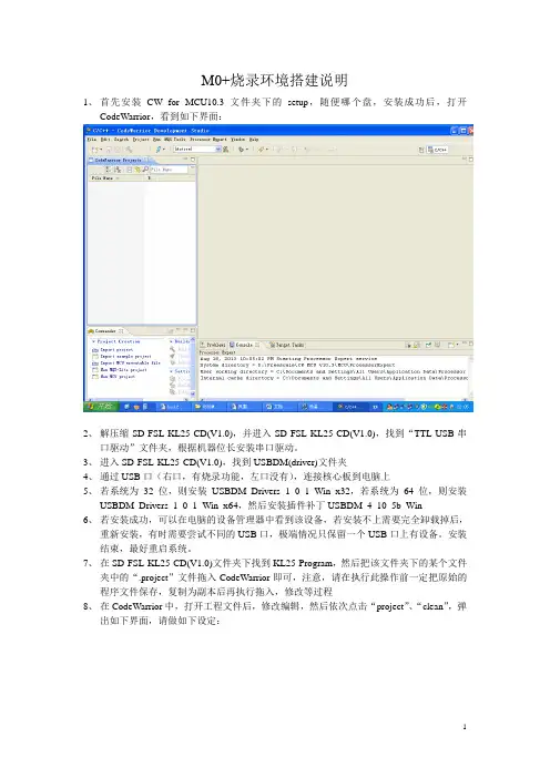 CW软件平台设置与说明