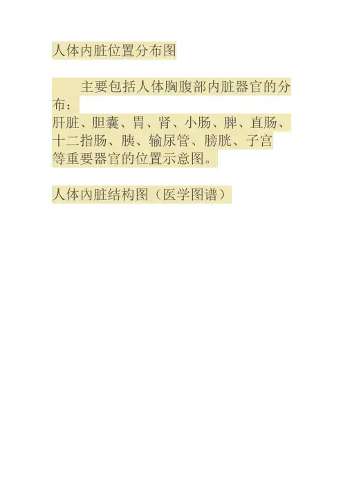 人体内脏位置分布图