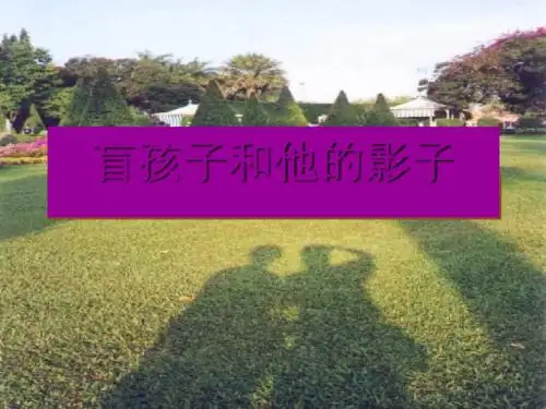 《盲孩子和他的影子》PPT课件5