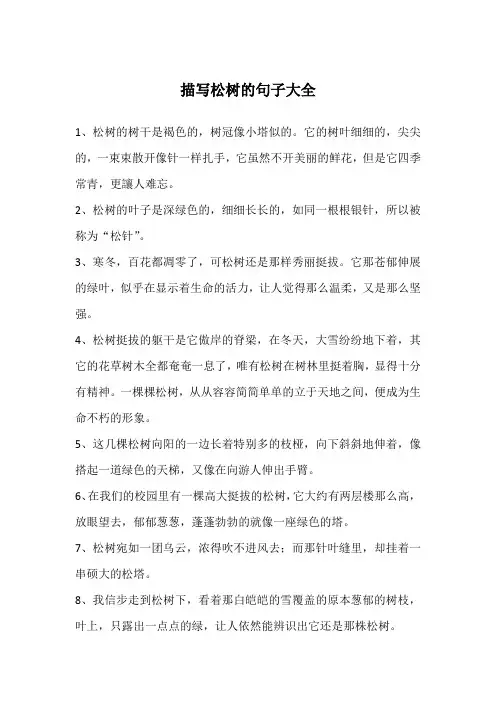 描写松树的句子大全