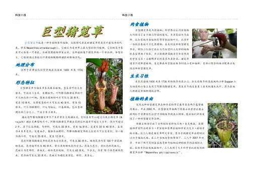 科技知识小报