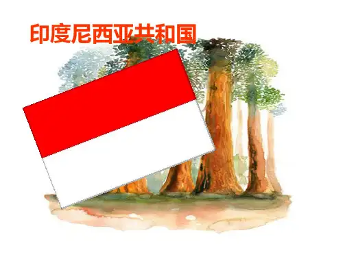 印度尼西亚