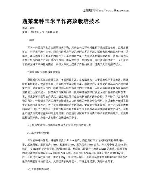 蔬菜套种玉米旱作高效栽培技术