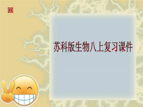 苏科版生物八上复习课件