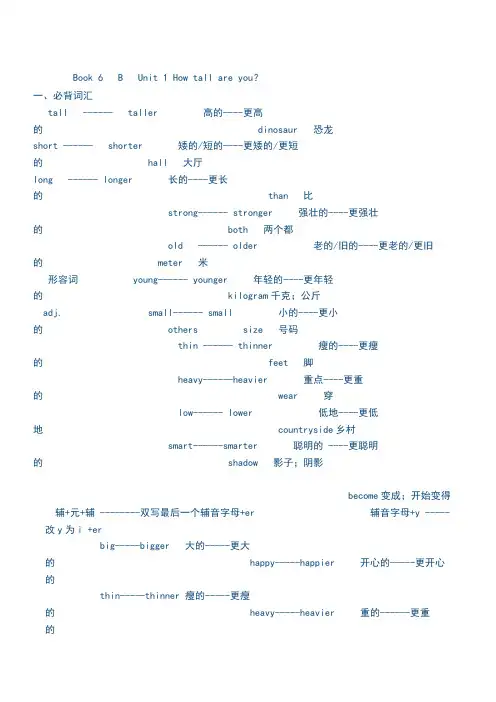 新版人教版六年级英语下册知识点总结