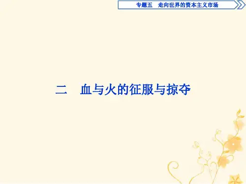 2020学年高中历史专题五走向世界的资本主义市场二血与火的征服与掠夺课件人民版必修2