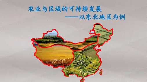 高二地理鲁教版必修第三册 东北地区农业生产与布局(共33张PPT)