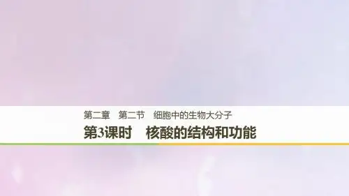高中生物 第二章 细胞的化学组成 第二节 细胞中的生物