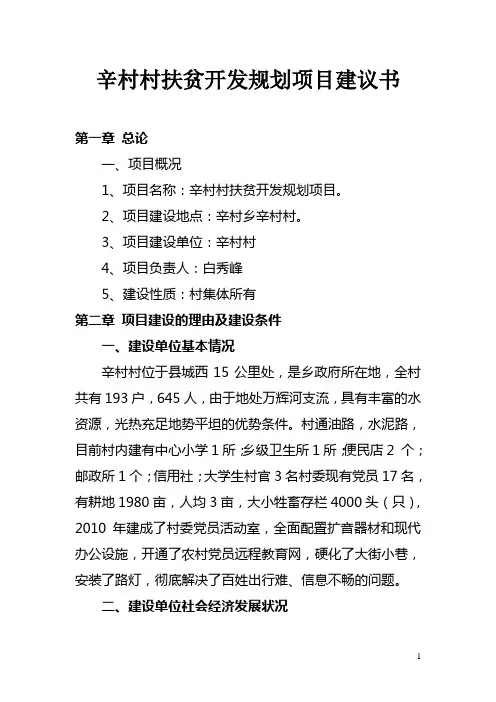 项目建议书 4