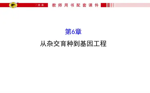 从杂交育种到基因工程(精品复习)PPT精选文档