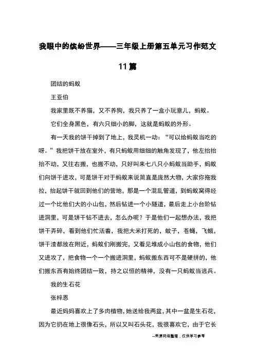 我眼中的缤纷世界——三年级上册第五单元习作范文11篇_优秀作文