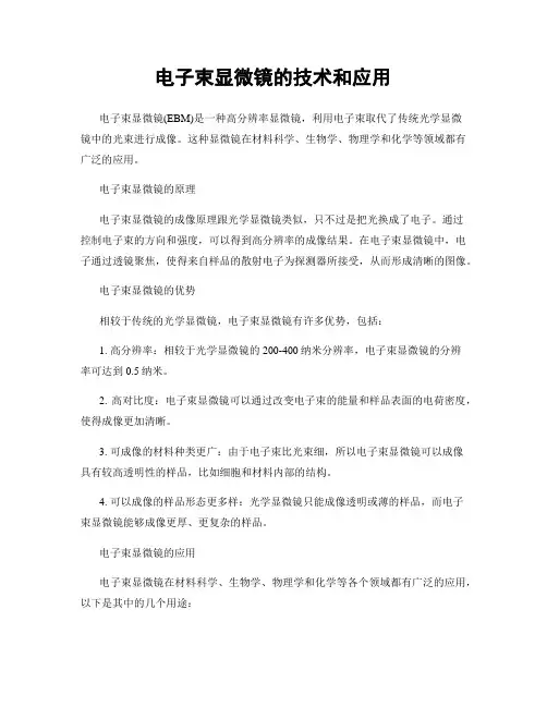 电子束显微镜的技术和应用