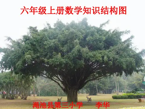 六年级数学知识结构图1