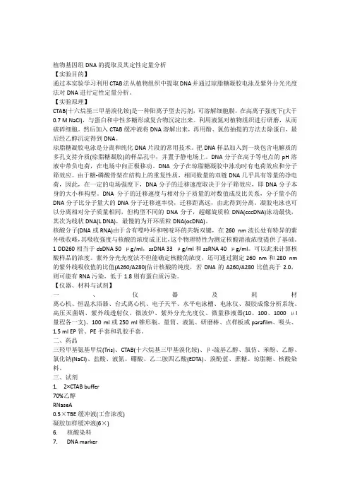 植物基因组DNA的提取