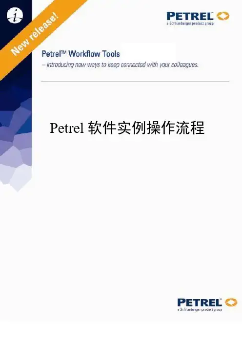 PETREL培训教材