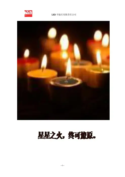 LED节能灯企划书