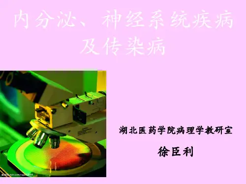 病理学(第八版)最新课件内分泌、神经系统疾病及传染病-A平台