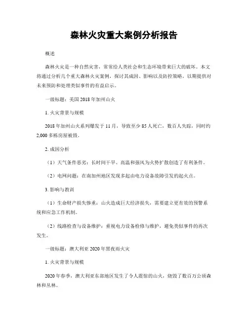森林火灾重大案例分析报告