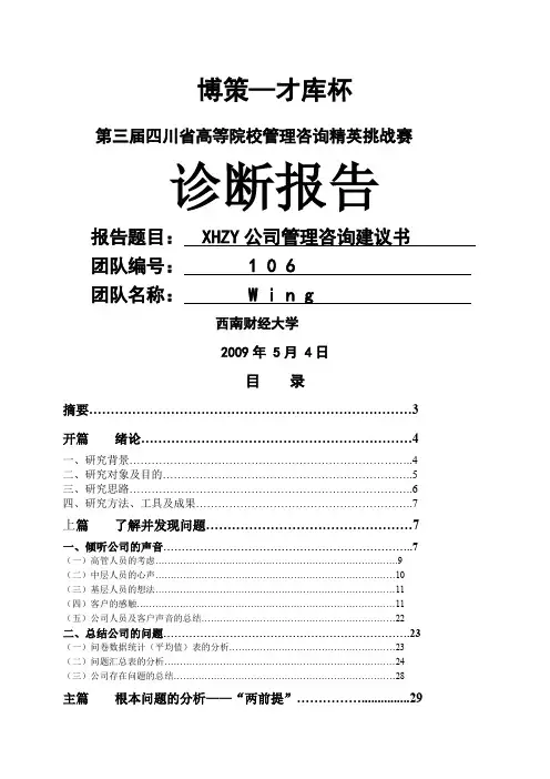 管理咨询诊断报告 2