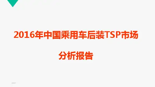 2016年中国乘用车后装TSP市场分析报告
