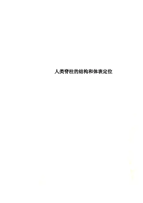 人类脊柱的结构和体表定位