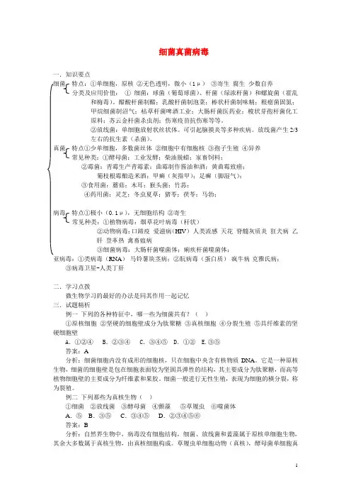 高中生物 细菌 真菌与病毒的区分知识点 人教版必修1