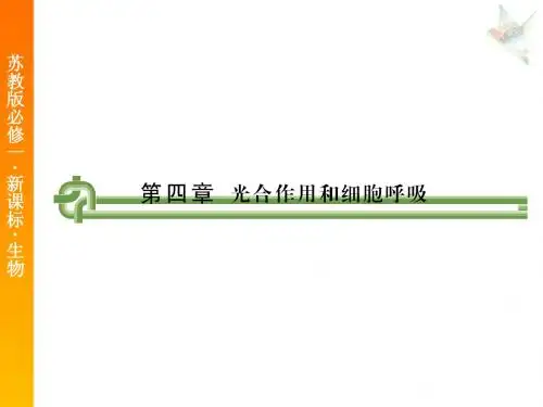 4.1.1生命活动的能量“通货”—ATP