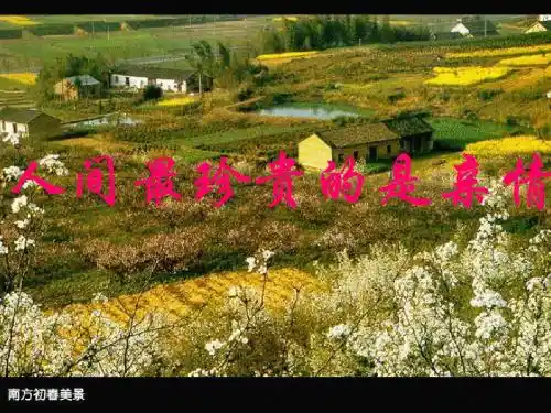 《散步》优秀课件1
