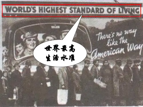 “自由放任”的美国分析