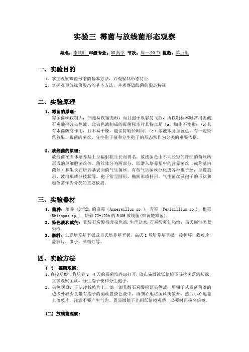 实验3 霉菌与放线菌形态观察
