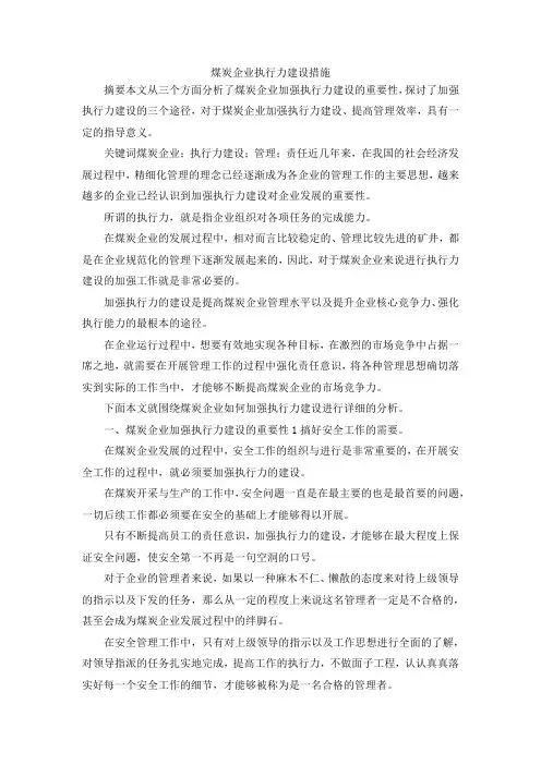 最新-煤炭企业执行力建设措施 精品