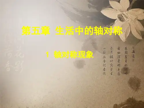 七年级数学下册 5.1 轴对称现象课件