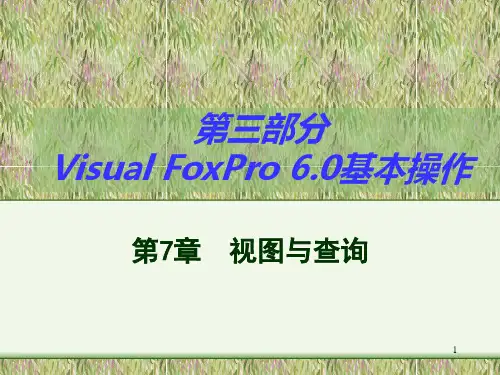 VF基本操作4