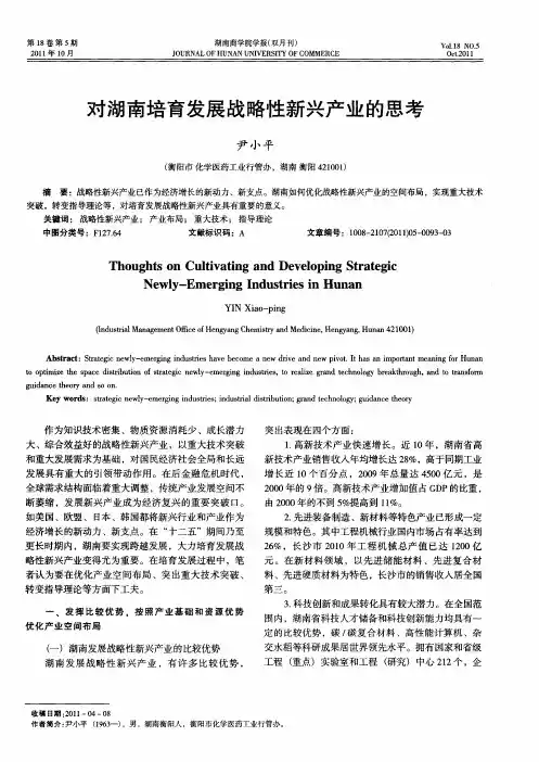 对湖南培育发展战略性新兴产业的思考