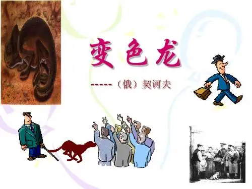 变色龙2