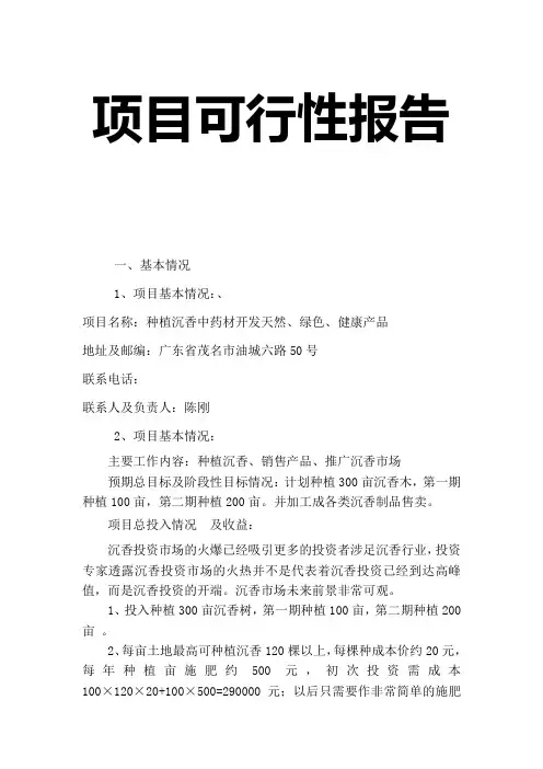 项目可行性报告