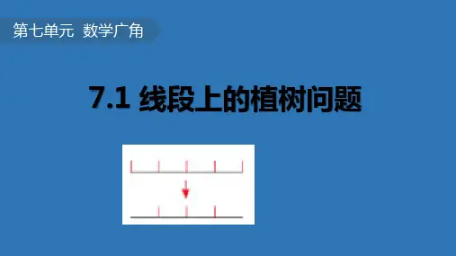 五年级数学上册第七单元数学广角课件