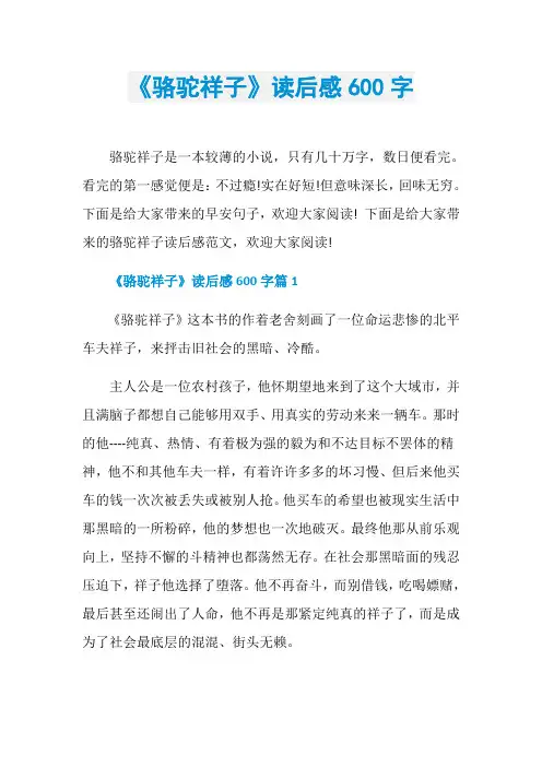 《骆驼祥子》读后感600字